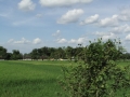 0035_resize