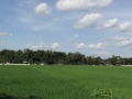 0036_resize