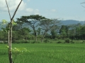 0039_resize