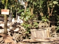 0043_resize