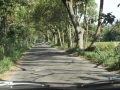 0044_resize