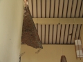 0056_resize