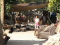 0088_resize
