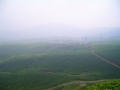CIMG0506