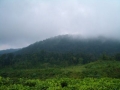 CIMG0538