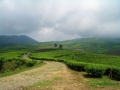 CIMG0543