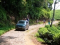 CIMG0545