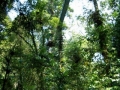 CIMG0549