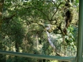 CIMG0551