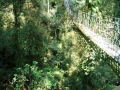 CIMG0553