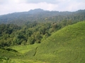CIMG0579