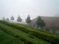 CIMG0613