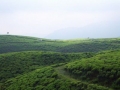 CIMG0634