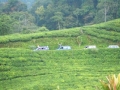 CIMG0640
