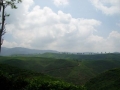 IMGP0394