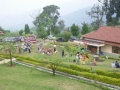 IMGP0402