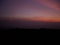 IMGP0420