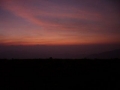 IMGP0421