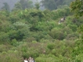 IMGP0439