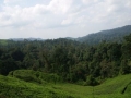 IMGP0463