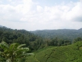 IMGP0465