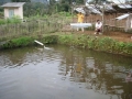 IMGP0469