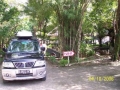 Ciputih001