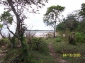 Ciputih019