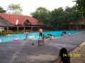 Ciputih086