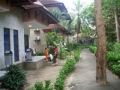 IMGP2031