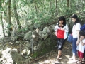cagar_alam_9