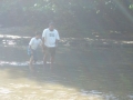 wisnu