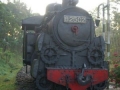 28_G