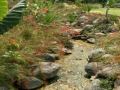 AcaraBebas17