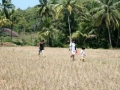 ujunggenteng180807_-_079
