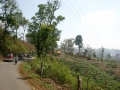 CIMG0987