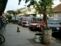 CIMG0503