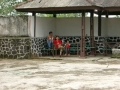 CIMG0528