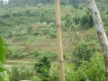 CIMG1062