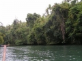 PICT0065
