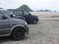 3_kuda_@_kuta_lombok
