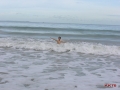 PB040008a