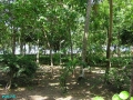 PB050047a