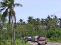 PB050056_resize