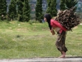 Berat_oi