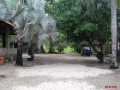 PC180026_resize