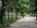 PC180027_resize