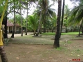PC180038_resize