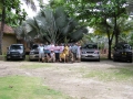 PC180056_resize