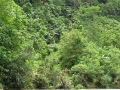 PC180067_resize